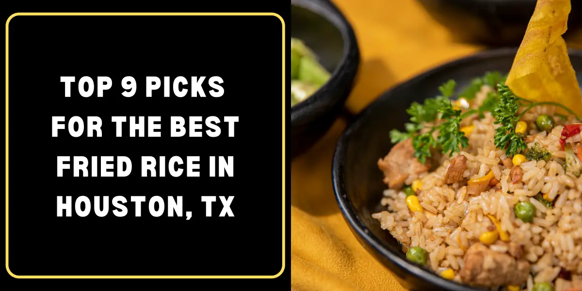 Top 8 Picks for the Best Fried Rice in Houston, TX