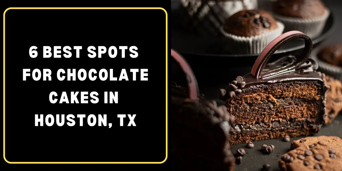 6 Best Spots for Chocolate Cakes in Houston