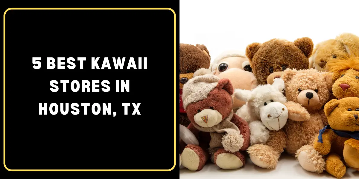 5 Best Kawaii Stores in Houston, TX