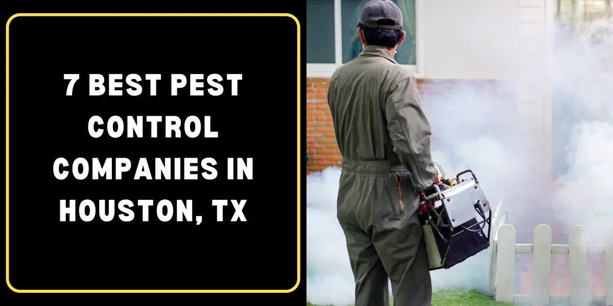 7 Best Pest Control Companies in Houston, TX