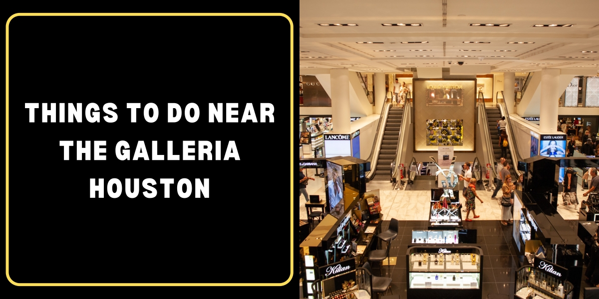Things to Do Near The Galleria Houston