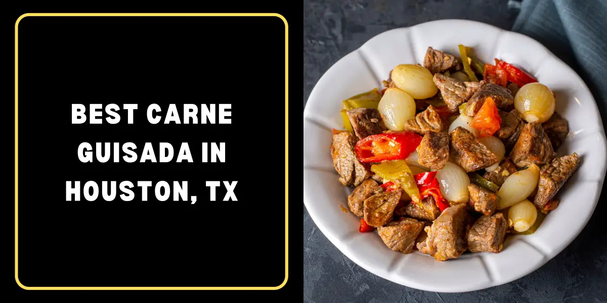 Best Carne Guisada in Houston, TX